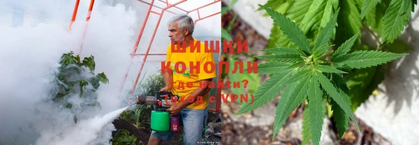 СК Магадан