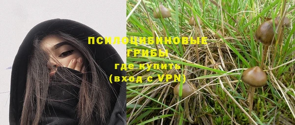 СК Магадан