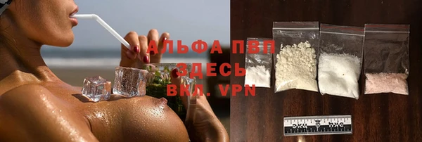 СК Магадан
