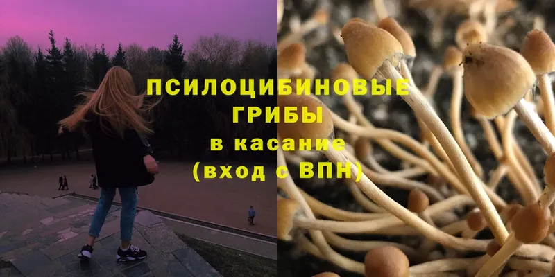 Галлюциногенные грибы Magic Shrooms Куровское